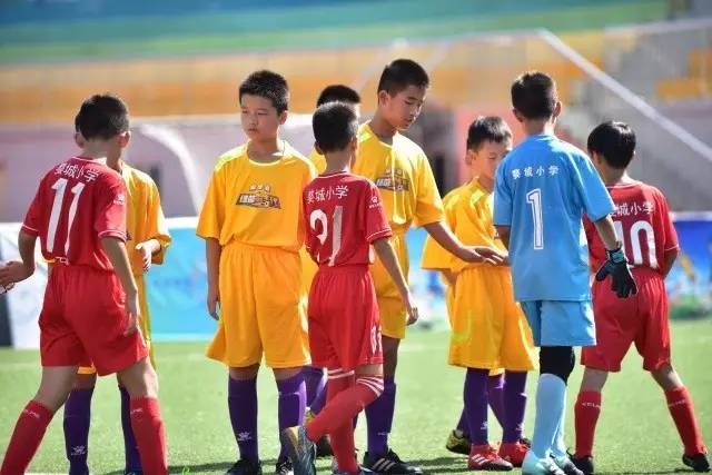 教育部全力支持中央调查鲁昕案件